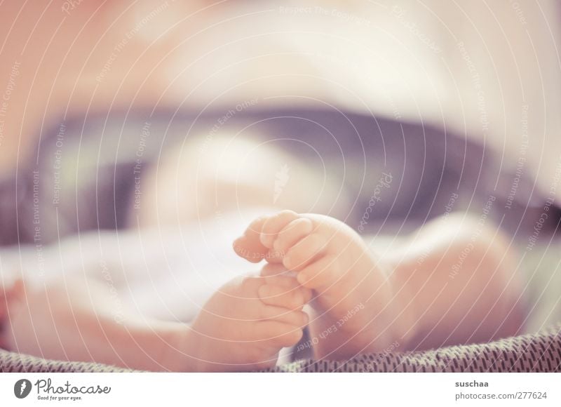 süße füße Kind Baby Kindheit Haut Beine Fuß 1 Mensch 0-12 Monate berühren Bewegung niedlich Leben Zehen Babyfüße neu Farbfoto Gedeckte Farben Innenaufnahme