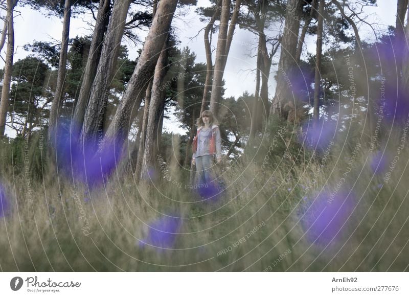 Lila Blumen Mensch Junge Frau Jugendliche 1 Umwelt Natur Landschaft Pflanze Baum Gras Sträucher Wiese Wald Blick stehen Farbfoto Außenaufnahme Tag