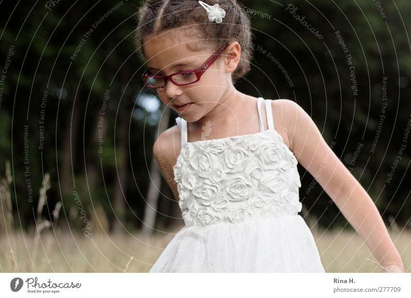 Auf der Wiese IV Mädchen 1 Mensch 3-8 Jahre Kind Kindheit Natur Landschaft Wetter Schönes Wetter Feld Wald Kleid Brille Haarspange Haare & Frisuren brünett