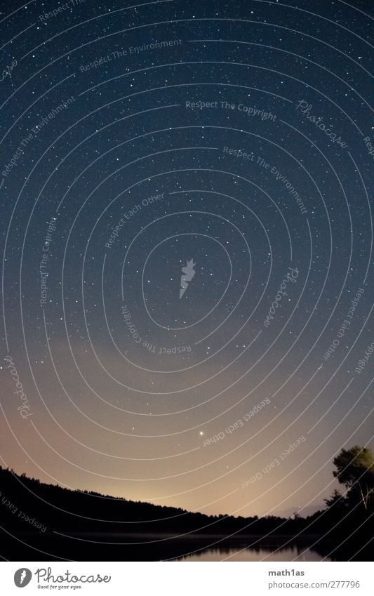 Nach am See Natur Wasser blau gelb schwarz ruhig Stern Baum Sternenhimmel Nacht Außenaufnahme