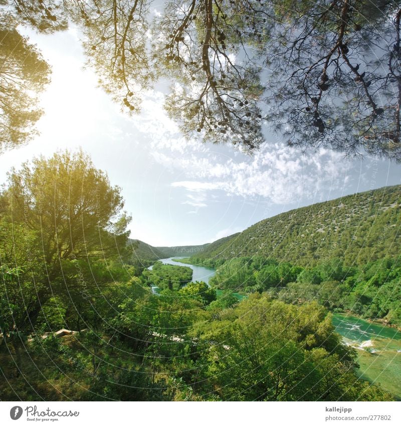 krka Ferien & Urlaub & Reisen Tourismus Ausflug Abenteuer Ferne Freiheit Umwelt Natur Landschaft Pflanze Tier Wasser Sonnenlicht Flussufer Wasserfall nachhaltig