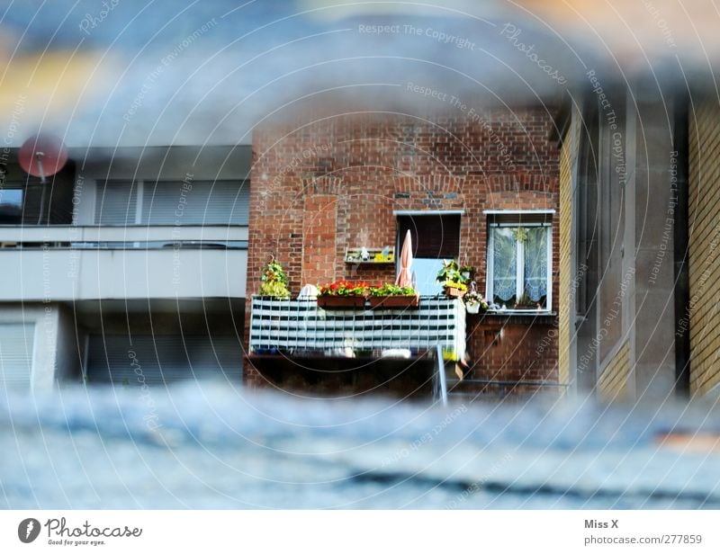 Balkonien Häusliches Leben Mauer Wand Fassade klein Balkonpflanze Balkondekoration Fenster Pfütze Farbfoto mehrfarbig Außenaufnahme Experiment Menschenleer