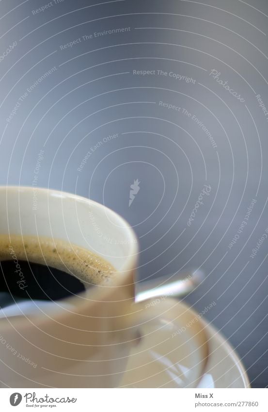 Kaffee Lebensmittel Ernährung Kaffeetrinken Getränk Heißgetränk Tasse Duft heiß lecker schwarz Farbfoto Nahaufnahme Menschenleer Textfreiraum oben