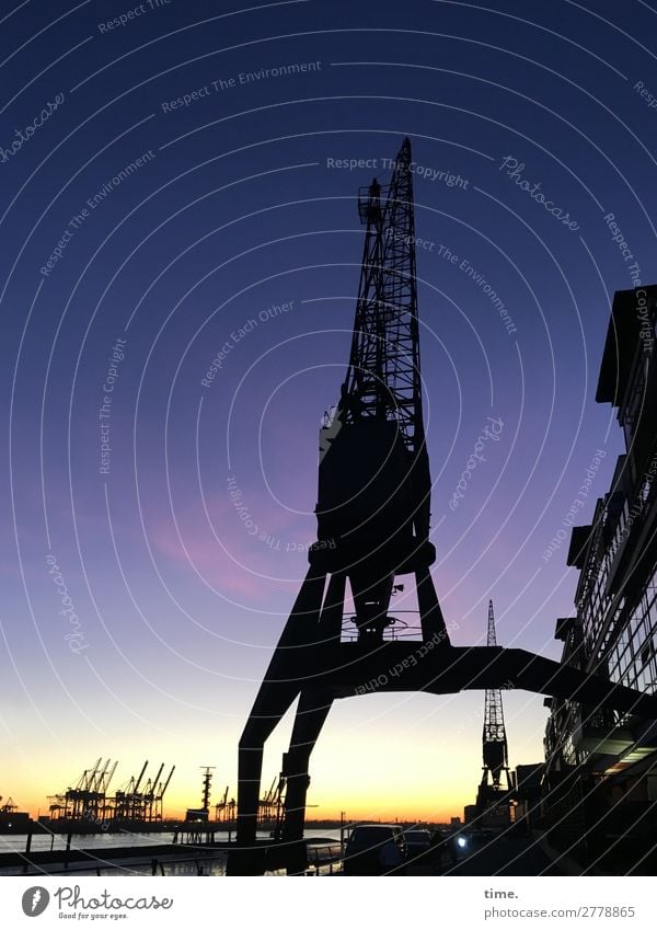 Beine vertreten Arbeitsplatz Wirtschaft Handel Feierabend Himmel Nachthimmel Horizont Hamburg Hamburger Hafen Hafenstadt Skyline Haus Bauwerk Gebäude