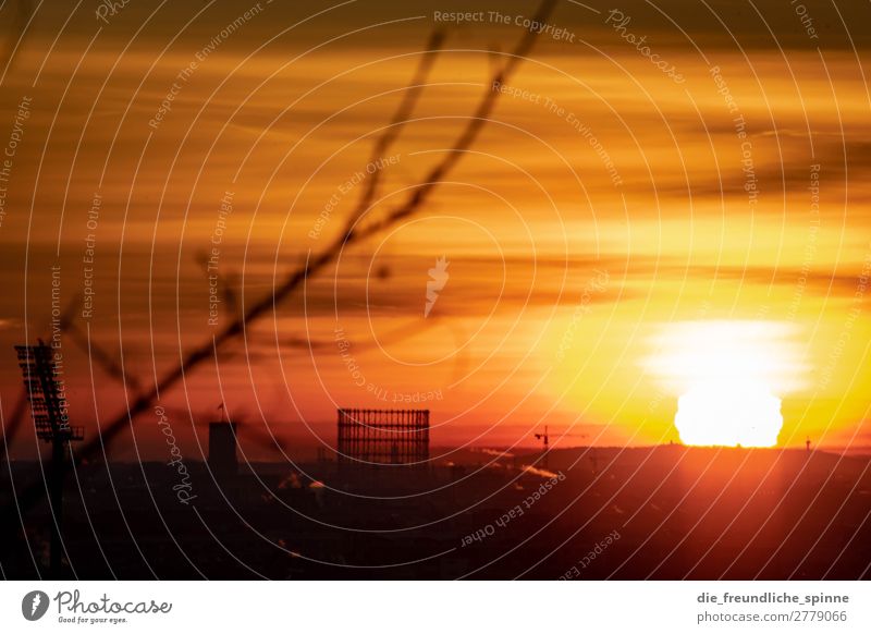 Sonnenaufgang über Berlin II Gegenlicht schwarz gold Sonnenuntergang rot gelb Außenaufnahme Dämmerung Sonnenlicht Menschenleer Abend Landschaft Sonnenstrahlen