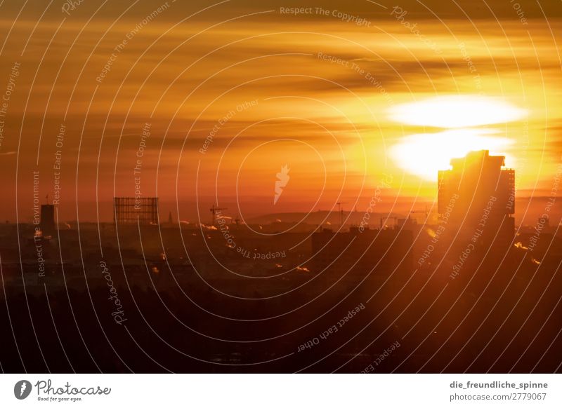 Sonnenaufgang über Berlin III Gegenlicht schwarz gold Sonnenuntergang rot gelb Außenaufnahme Dämmerung Sonnenlicht Menschenleer Abend Landschaft Sonnenstrahlen