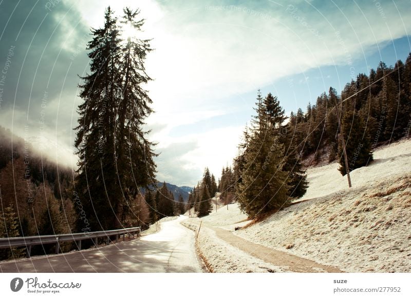 Sonne tanken Ferien & Urlaub & Reisen Schnee Winterurlaub Berge u. Gebirge Umwelt Natur Landschaft Urelemente Himmel Wolken Klima Schönes Wetter Baum Wald