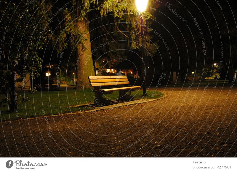 Unter der Laterne Umwelt Baum Park Menschenleer Platz Wege & Pfade natürlich Farbfoto Außenaufnahme Nacht Langzeitbelichtung Parkbank Fußweg Straßenbeleuchtung