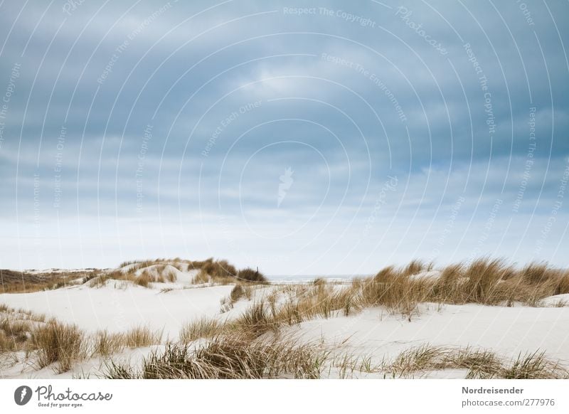 Sommer Sinnesorgane Erholung ruhig Strand Meer Natur Landschaft Pflanze Sand Himmel Wetter Küste Nordsee trocken blau braun Fernweh Einsamkeit