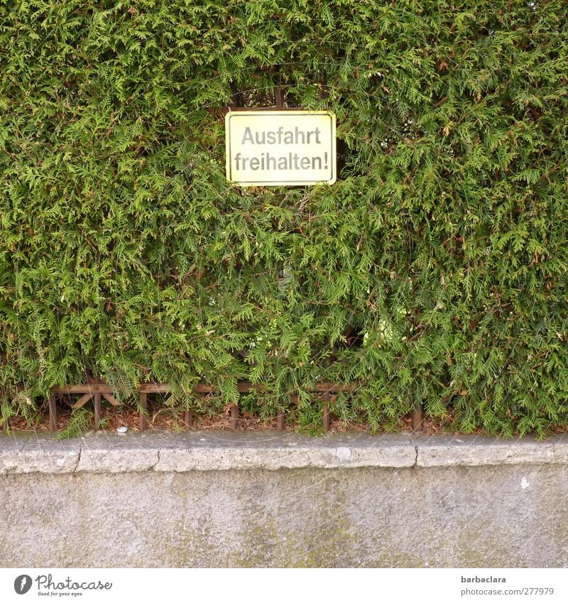 Wo ein Wille ist, ist auch ein Weg Sträucher Hecke Mauer Wand Schriftzeichen Schilder & Markierungen Hinweisschild Warnschild Verkehrszeichen Verbotsschild