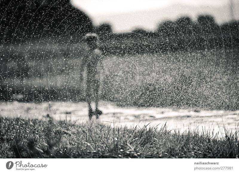 Regen Mensch Kind Kleinkind Junge Kindheit Körper 1 3-8 Jahre Natur Landschaft Pflanze Wasser Wassertropfen Gras Feld Spielen stehen Fröhlichkeit Glück lustig