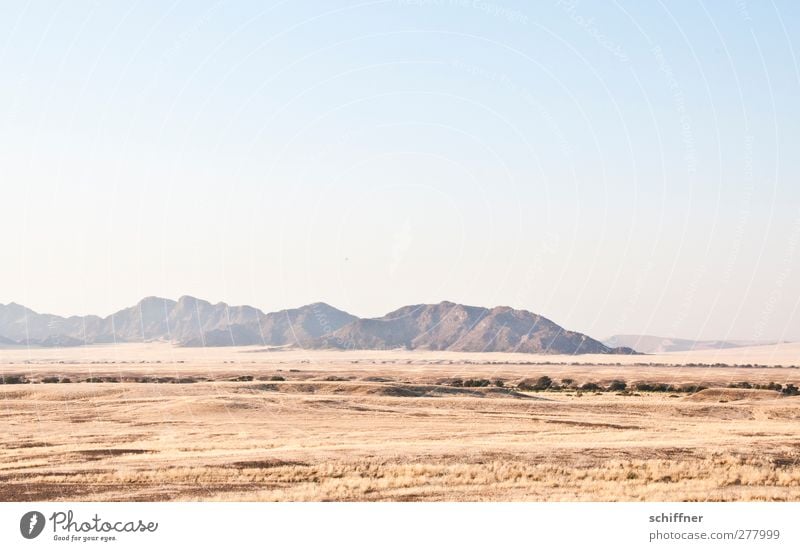 irgendwo dahinten... Umwelt Natur Landschaft Wolkenloser Himmel Berge u. Gebirge Wüste Ferne Steppe Gras Grasland Safari Überblick Trockenfluss Sossusvlei Namib