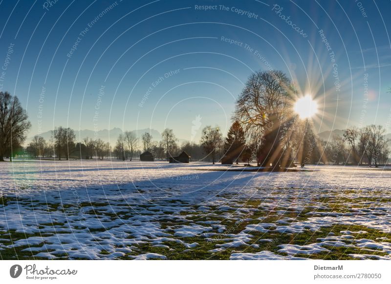 Sunset in the Lauteracher Ried Winter Natur Stimmung Landscape Hintergrundbild Swamp Snow Riedgras Österreich Bundesland Vorarlberg Rhine Valley Sonnenuntergang