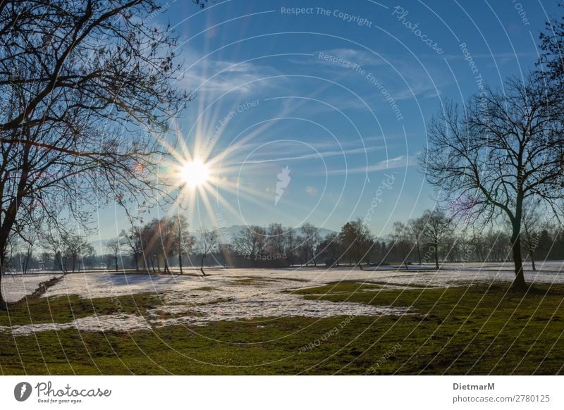 Sunset in the Lauteracher Ried Winter Natur Sonnenlicht Zufriedenheit Landscape Hintergrundbild Swamp Snow Riedgras Österreich Bundesland Vorarlberg