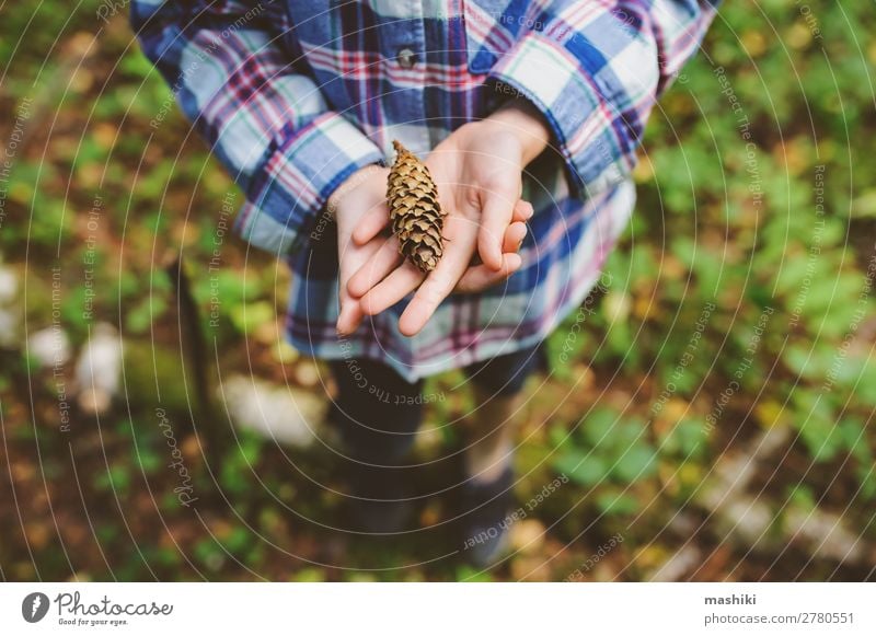 Kind Mädchen erkundet wilden Wald, Blick auf Kiefernzapfen Lifestyle Glück Spielen Ferien & Urlaub & Reisen Abenteuer Freiheit Expedition Sommer wandern