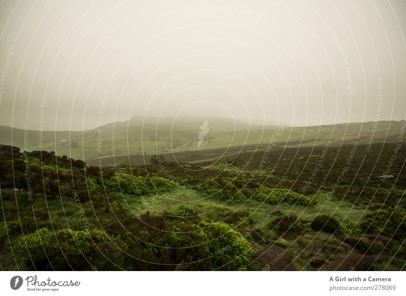 so ein M/mist Umwelt Natur Landschaft Pflanze Urelemente Luft Himmel Wolken Sommer Klima Klimawandel Wetter schlechtes Wetter Nebel Gras Moos Hügel authentisch