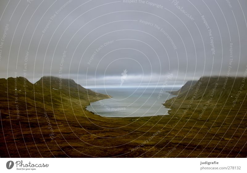 Island Umwelt Natur Landschaft Wasser Wolken Klima schlechtes Wetter Felsen Berge u. Gebirge Fjord Westfjord außergewöhnlich dunkel gigantisch kalt natürlich