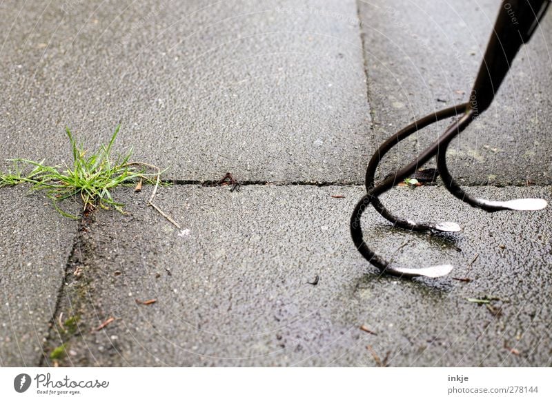 mit Kanonen auf Spatzen schießen Gartenarbeit Gras Unkraut Unkrautbekämpfung Park gartenkralle Gartengeräte Beton Metall Wachstum bedrohlich Spitze Gefühle