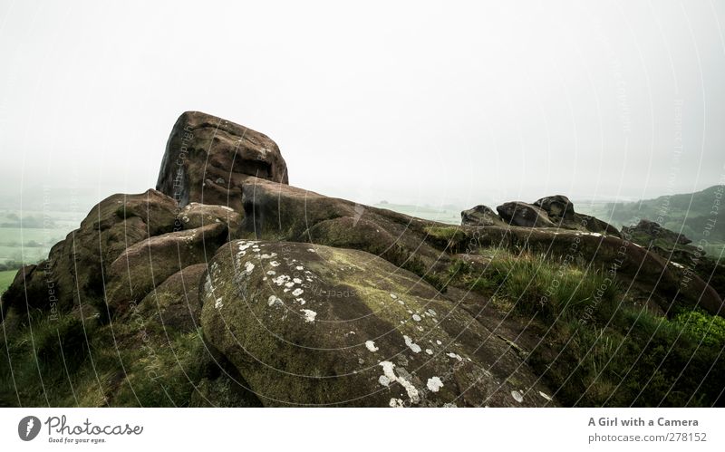 oben angekommen Umwelt Natur Landschaft Pflanze Himmel Wolken Frühling schlechtes Wetter Nebel Moos Hügel Felsen Berge u. Gebirge Gipfel hoch grau grün alt hart