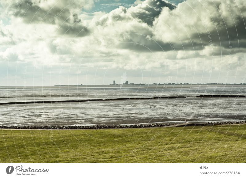 der gewaltige St. Deich Landschaft Luft Wasser Wolken Gewitterwolken Frühling Sommer Herbst Gras Nordsee Wattenmeer beobachten Erholung blau grau grün Tourismus