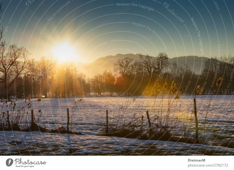 Sunset in the Lauteracher Ried Meditation Winter Natur Stimmung Landscape Hintergrundbild Swamp Snow Riedgras Österreich Bundesland Vorarlberg Rhine Valley