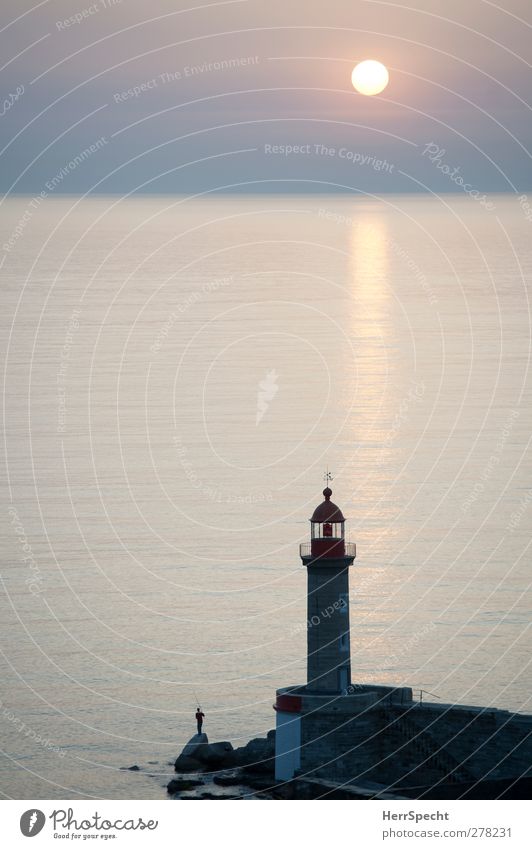 Morgenangler Angeln Mensch maskulin Mann Erwachsene 1 ästhetisch friedlich ruhig standhaft Zufriedenheit Erholung meditativ Leuchtturm Angler Felsen