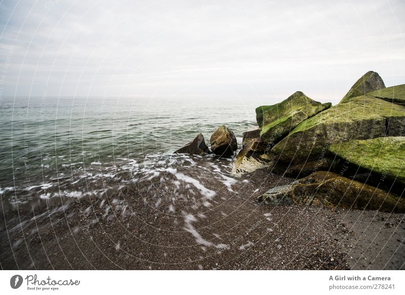 Hiddensee l all over again Umwelt Natur Landschaft Urelemente Sand Wasser Wassertropfen Klima Moos Wellen Küste Strand Ostsee Insel Bewegung Flüssigkeit