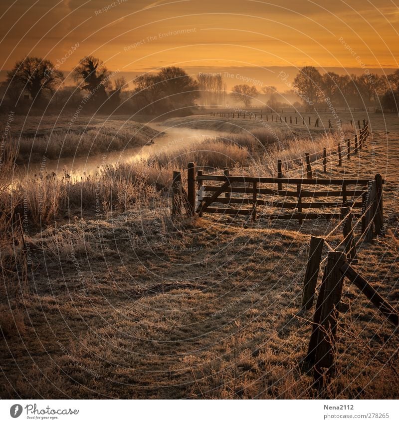 Aurore hivernale Umwelt Natur Landschaft Erde Luft Wasser Himmel Wolken Winter Klima Wetter Nebel Eis Frost Baum Wiese Flussufer kalt schön gold orange Zaun