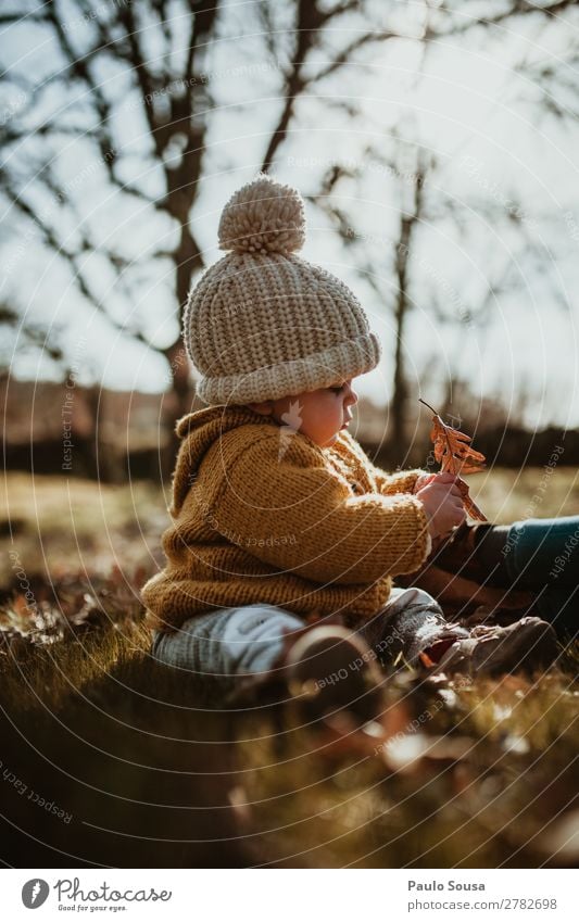 Baby spielt im Wald feminin Kind Kleinkind Mädchen 1 Mensch 1-3 Jahre Umwelt Natur Herbst Winter Blatt Mantel Wolle Wollmütze Wolljacke Hut beobachten berühren