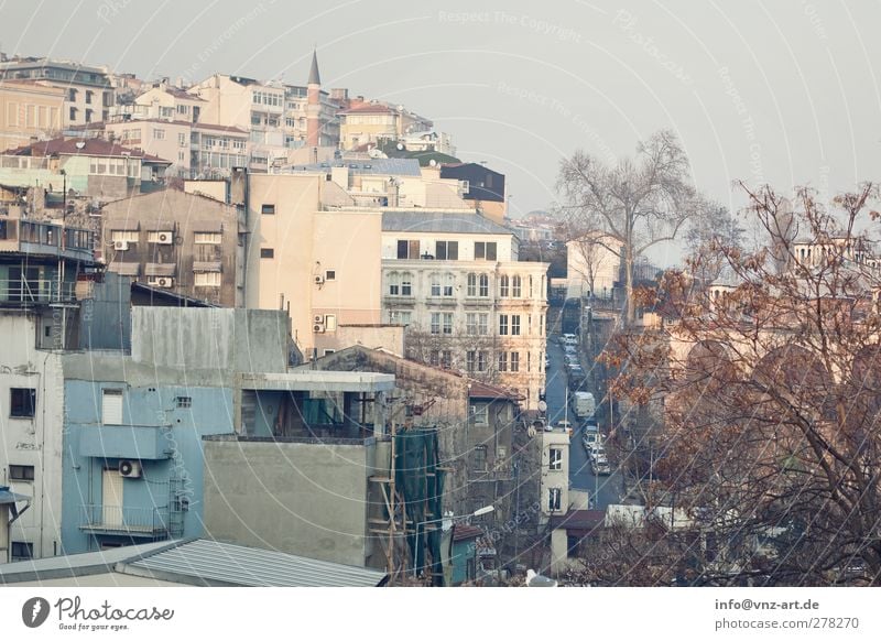 Istanbul Ferien & Urlaub & Reisen Ausflug Städtereise Türkei Stadt Hauptstadt Hafenstadt Haus Bauwerk Gebäude Architektur Mauer Wand Dach heiß braun gelb gold