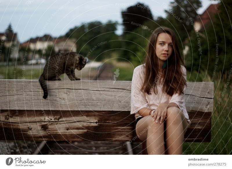 CATS harmonisch Wohlgefühl Zufriedenheit ruhig Mensch feminin Junge Frau Jugendliche Erwachsene Leben 1 Umwelt Natur Sommer brünett langhaarig Katze Tier