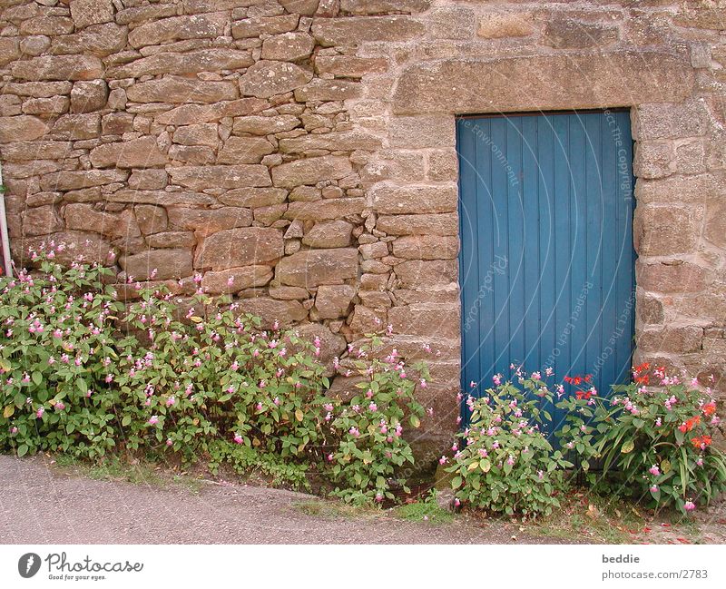 Blaue Tür Bretagne Blume Mauer blau Ferien & Urlaub & Reisen Stein