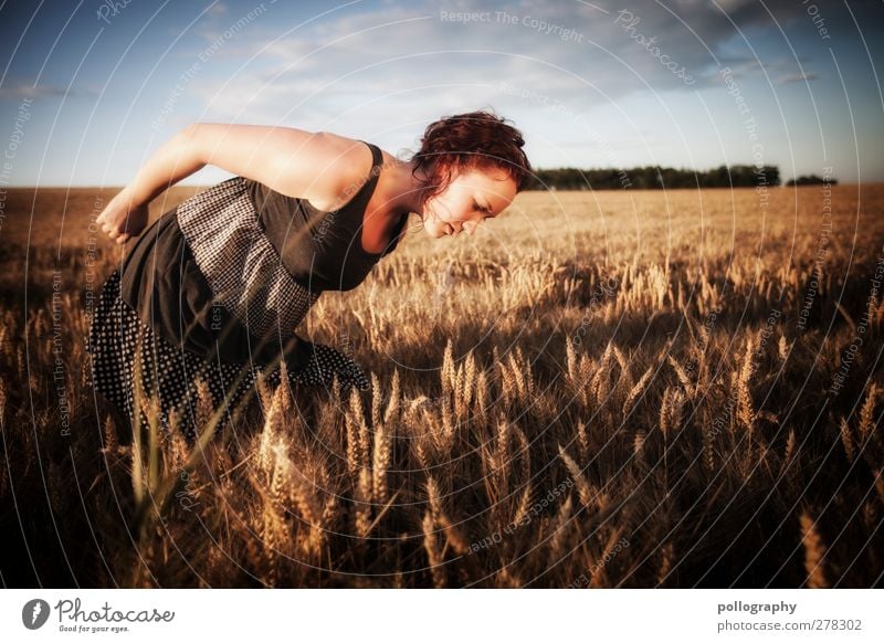 auf der Suche nach dem schwarzen Korn Mensch feminin Junge Frau Jugendliche Erwachsene 1 18-30 Jahre Natur Landschaft Pflanze Himmel Wolken Sonne Sonnenaufgang