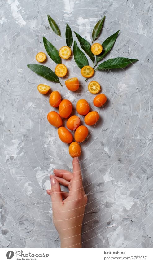 Kumquat-Früchte auf grauem Hintergrund Frucht Dessert Ernährung Vegetarische Ernährung Diät exotisch Hand Menschengruppe Blatt frisch natürlich oben saftig gelb