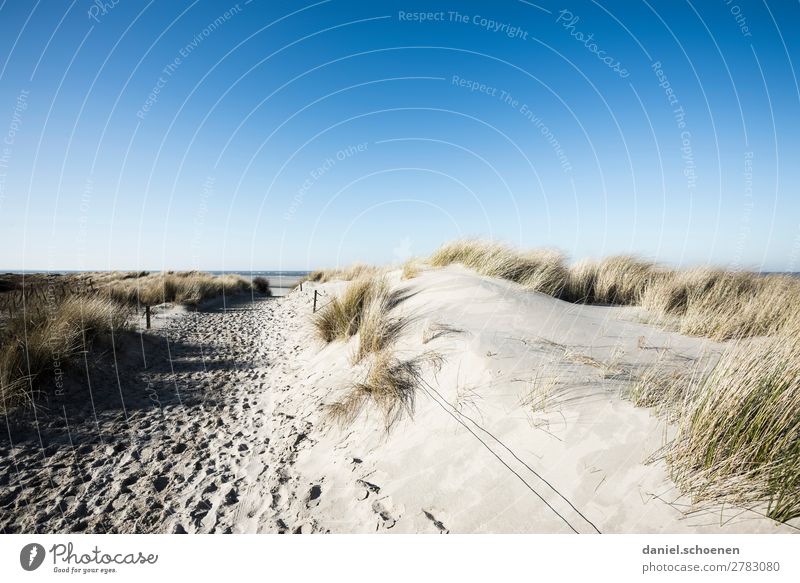 neulich am Meer 3 Ferien & Urlaub & Reisen Tourismus Strand Insel Natur Landschaft Wolkenloser Himmel Winter Küste Nordsee Spiekeroog blau weiß Erholung