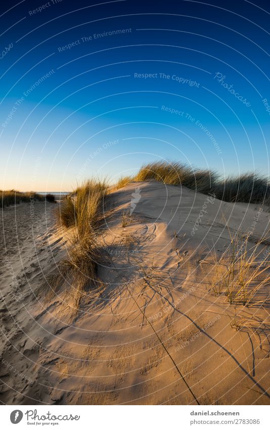 neulich am Meer 4 Ferien & Urlaub & Reisen Tourismus Strand Umwelt Natur Landschaft Sand Wolkenloser Himmel Sonnenaufgang Sonnenuntergang Schönes Wetter Küste