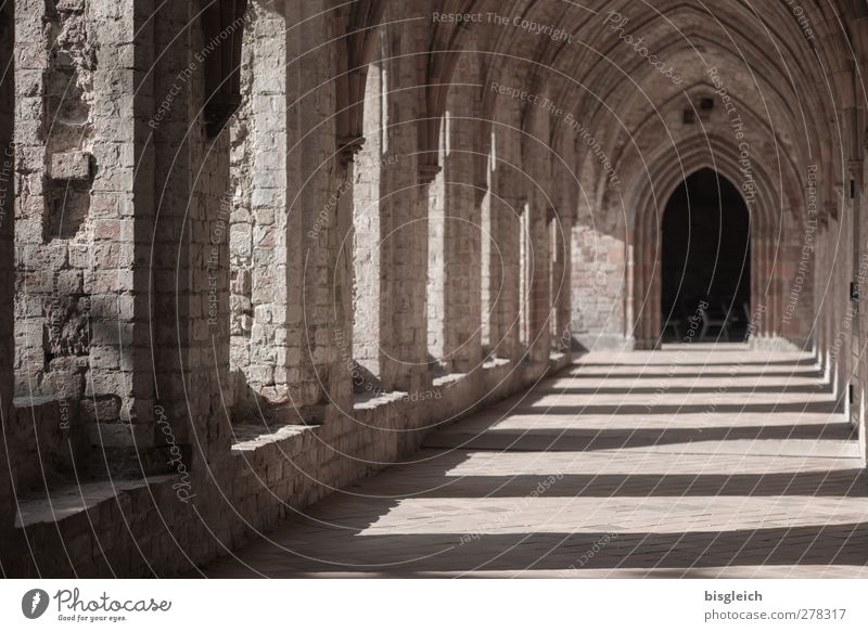 Kloster I Chorin Deutschland Europa Menschenleer Kirche Kloster Chorin Stein alt braun ruhig Religion & Glaube Farbfoto Außenaufnahme Tag Licht Schatten