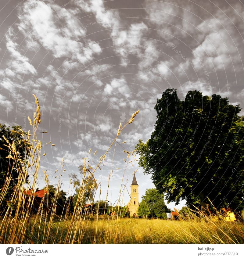 kirche im dorf Umwelt Natur Landschaft Pflanze Tier Himmel Wolken Baum Gras Dorf Haus Kirche Platz Spitze Kirchturm Religion & Glaube Christentum Brandenburg