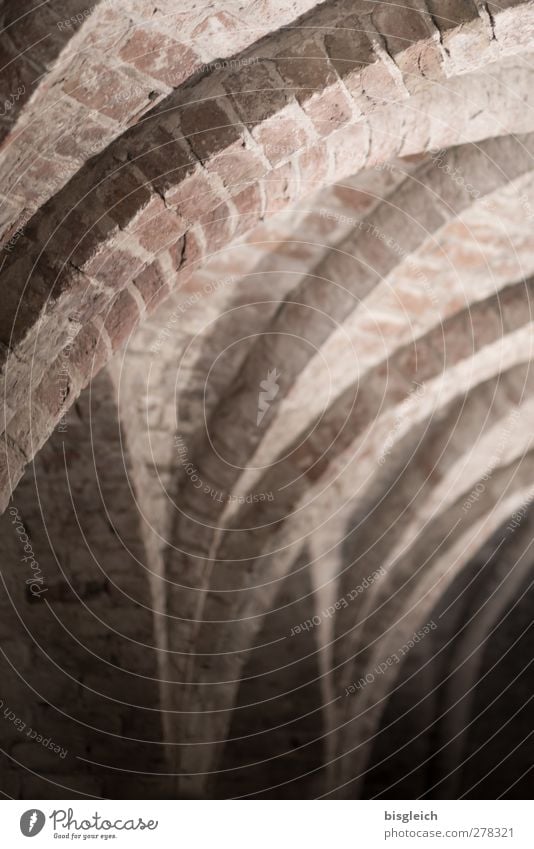 Kloster IV Chorin Bundesadler Europa Kleinstadt Kirche Arkaden Decke Säule Kloster Chorin alt braun ruhig Farbfoto Gedeckte Farben Innenaufnahme Menschenleer