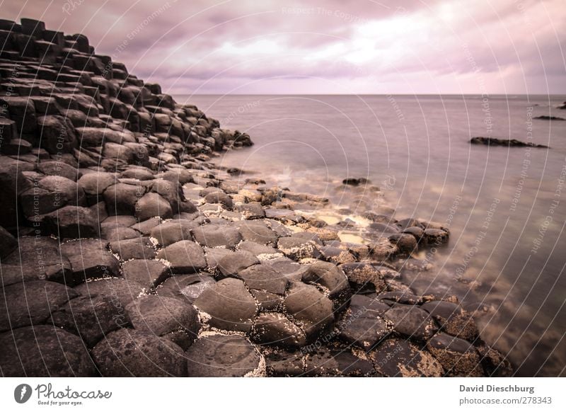 Giant's Causeway Ferien & Urlaub & Reisen Ausflug Sightseeing Meer Natur Wasser Himmel Wolken Herbst schlechtes Wetter Felsen Küste Bucht braun violett