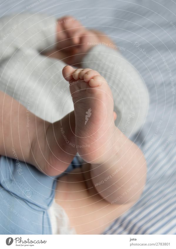 Fuß Erholung Spielen Baby Kindheit 0-12 Monate berühren entdecken liegen frei Gesundheit Glück natürlich Neugier niedlich blau Vertrauen Geborgenheit friedlich