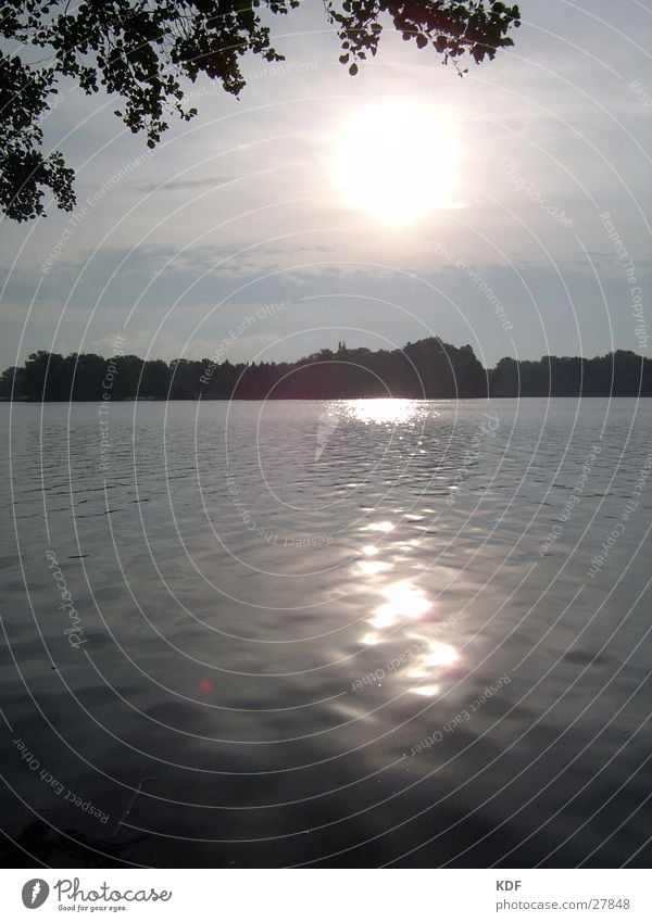 sonnenuntergang Sonnenuntergang Sonnenaufgang See Romantik Licht Blatt KDF Muggelsee Berlin Wasser Küste Spigelung