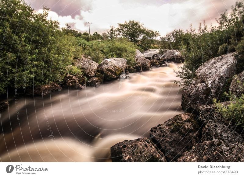 Irish river Ferien & Urlaub & Reisen Natur Wasser Wolken Sommer Pflanze Bach Fluss braun Nordirland grün Sträucher Felsen Stein Strömung Farbfoto Außenaufnahme