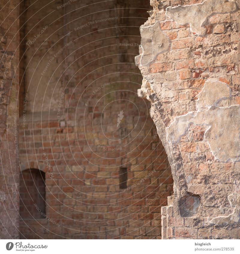 Kloster VII Chorin Bundesadler Europa Kleinstadt Kirche Kloster Chorin Mauer Wand Stein alt braun Vergänglichkeit Farbfoto Innenaufnahme Menschenleer