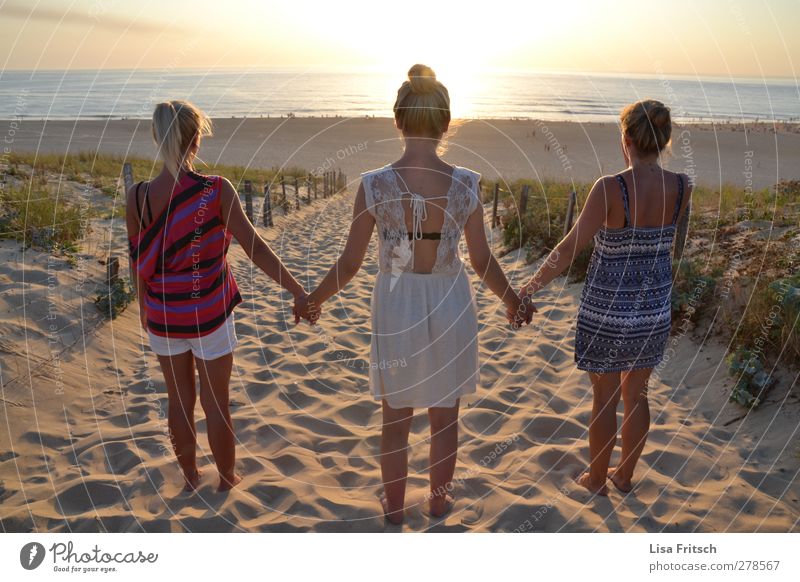 friendship Mensch feminin Junge Frau Jugendliche Freundschaft Leben 3 18-30 Jahre Erwachsene Sonnenaufgang Sonnenuntergang Schönes Wetter Strand Meer festhalten