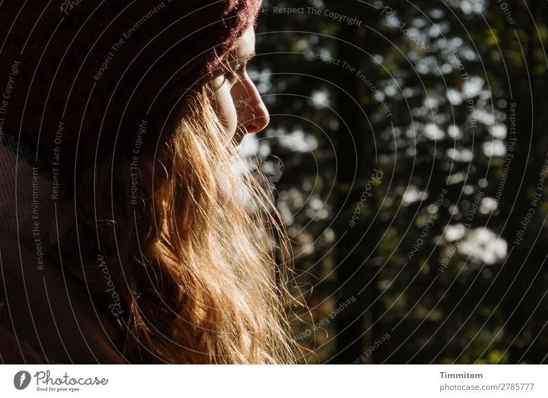 Patty im Sonnenlicht Mensch Junge Frau Jugendliche Kopf Haare & Frisuren Gesicht Auge Nase 1 Umwelt Natur Wald Mütze langhaarig Blick Freundlichkeit Gefühle