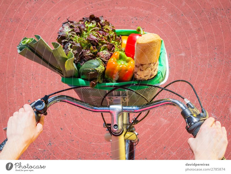 Nahaufnahme von weiblichen Lebensmitteln in einem Korb Fahrrad Gemüse Frucht Brot Lifestyle kaufen Glück schön Erholung Freizeit & Hobby Sommer Sonne Sport