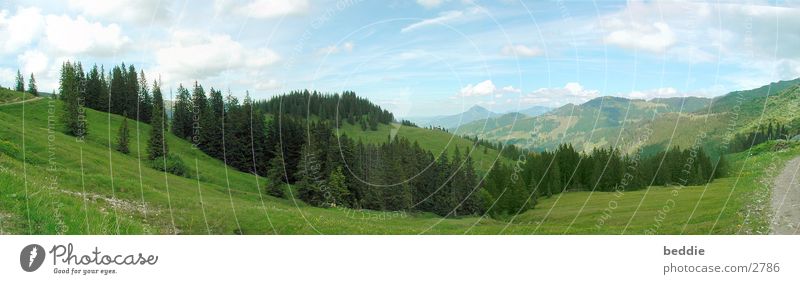 Allgäu-Panorama2 Wiese Panorama (Aussicht) Baum Ferne Berge u. Gebirge Tal groß Panorama (Bildformat)