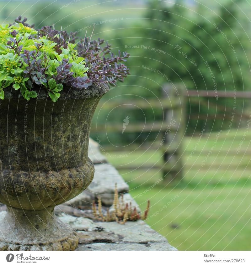 Landleben Blumentopf Mauer Mauerpflanze Gartenzaun Steinmauer Zaun Sommergarten Topfpflanzen Holzzaun alt Geborgenheit draußen ruhig nah Idylle alte mauer