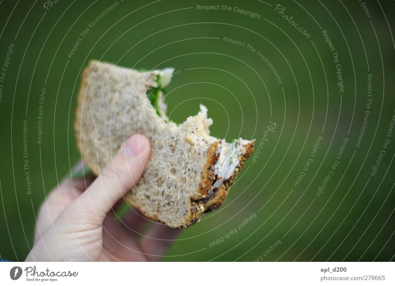 Brotzeit Lebensmittel Vegetarische Ernährung Essen authentisch grün Farbfoto Außenaufnahme Nahaufnahme Textfreiraum rechts Textfreiraum oben Tag